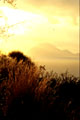 <center>Ambiance chaude d'une fin de journée. Le soleil irise les herbes<br> sauvages sur le flanc de la colline au-dessus du port de Salina. eoliennes, ile de salina,volcan eoliennes 